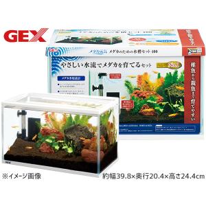 GEX（ジェックス） ラクフィルスリム ホワイト 熱帯魚 観賞魚用品 水槽
