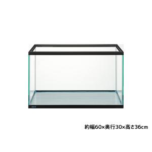 マリーナ GEX マリーナ600 幅60cmガラス水槽 MR600BKST マリーナ GEX マリーナ600 幅60cmガラス水槽 MR600BKST