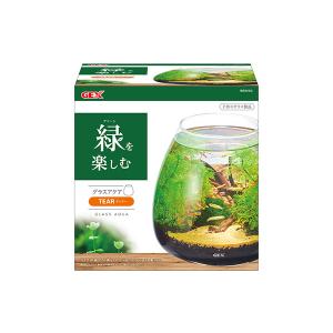 GEX AQUARIUM グラスアクア ティアー-N アクアリウム 小型水槽 水草