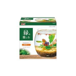 GEX グラスアクアリウム スフィア ボトルアクアリウム : 有限会社高知