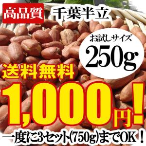 千葉半立 250g 令和3年 新豆 国産 千葉県 八街 落花生 (生) 八街ピーナッツ 千葉半立ち落花生 おつまみ ギフト 殻なし むき実 剥き身 送料無料 セール 生落花生