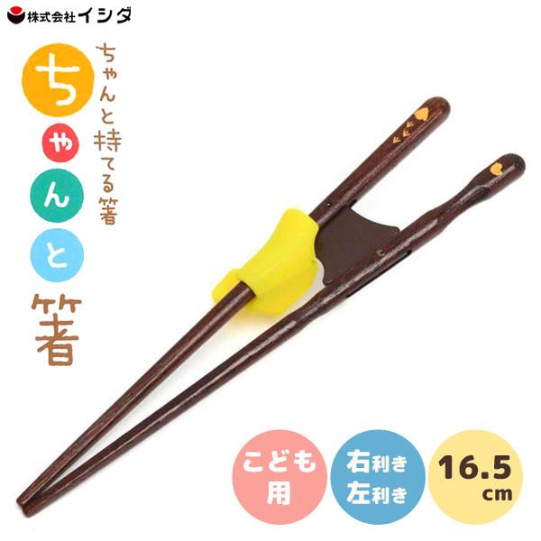 ちゃんと箸 16.5cm こども用 イシダ / 日本製 4〜6才 お箸 右利き用 左利き用 お稽古箸...