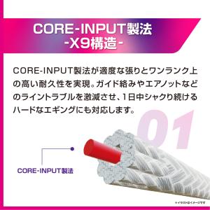 バリバス アバニ エギング マックスパワーPE...の詳細画像3