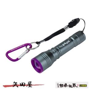 Hapyson ハピソン YF-990 津本式 充電式アニサキスライト (4779