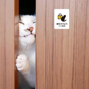 鍵 をかけよう 猫ステッカー(ホワイト) 防犯...の詳細画像1