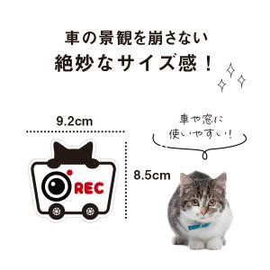 REC ドライブレコーダー 搭載 車 猫 ステ...の詳細画像1
