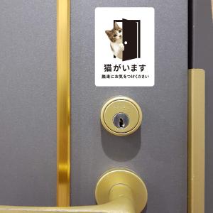 マグネット 猫がいます (ホワイト) 屋外 マ...の詳細画像3