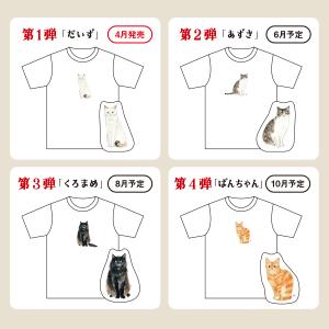 Tシャツ メンズ レディース 半袖 Tシャツ(...の詳細画像5