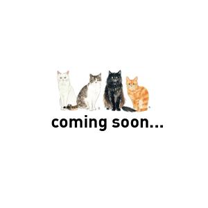 ねこ ミニ クッション 猫型 イラスト プレゼント 猫 （チャリティ企画商品） 第四弾 ばんちゃん｜yadotoneko
