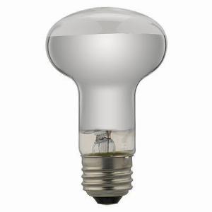 Panasonic（パナソニック） 在庫限り レフ電球 RF100V54W/D 20個入