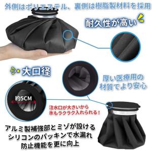 氷のう 氷嚢 アイスバッグ スポーツ アイシン...の詳細画像2
