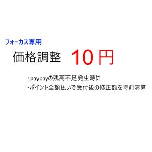 価格調整用　【１０円】