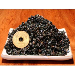 アナカリス 20本 : フォーカス ヤフー店 - 通販 - Yahoo!ショッピング