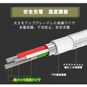 Type-C ケーブル Typec 充電 高速...の詳細画像4