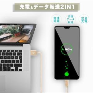Type-C ケーブル Typec 充電 高速...の詳細画像5