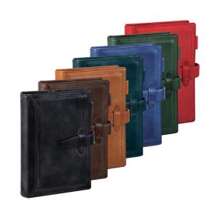 ダ・ヴィンチ 【限定品・送料無料(本州のみ)♪】レイメイ藤井 DSA1197