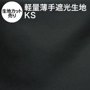 暗幕 生地カット売り 10cm単位 アンマクヤオリジナル ポリエステル暗幕