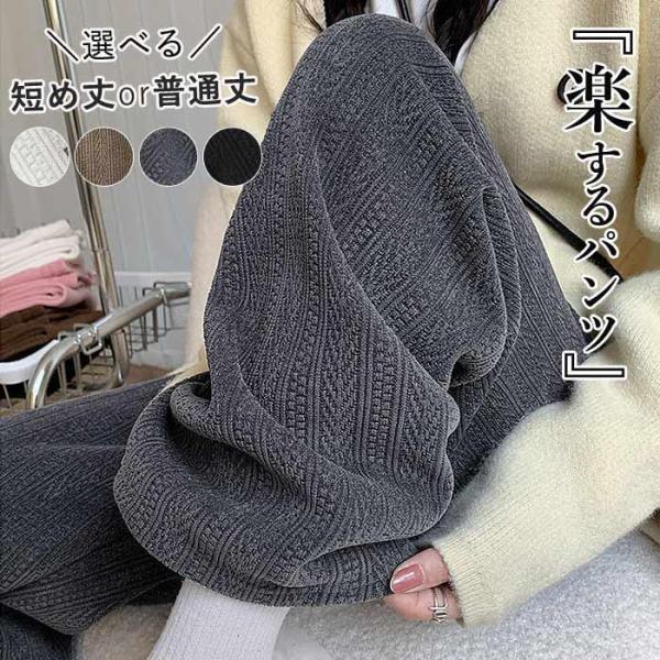 ！裏起毛 セミワイドパンツ ストレート 履く毛布 あったか ウエストゴム レディース