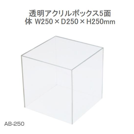 クルーズ 透明アクリルボックス５面体　Ｗ２５０×Ｄ２５０×Ｈ２５０ｍｍ (AB-250)