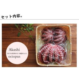 ボイル済 八蔵水産の麦わらだこ 大1杯 小2杯...の詳細画像3