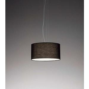 遠藤照明 ペンダントライト アンバー ランプ別売 ERP7440UA : 住宅設備