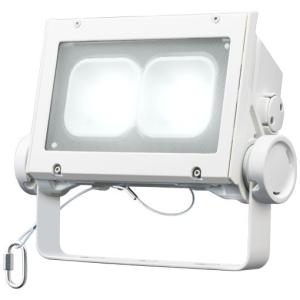 岩崎電気 LEDioc FLOOD NEO 投光器 看板灯 ダークグレイ 20Wクラス LED 