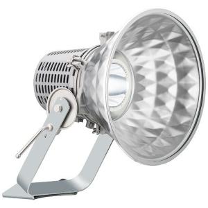 岩崎電気 LEDioc FLOOD NEO 投光器 看板灯 ダークグレイ 60Wクラス LED 