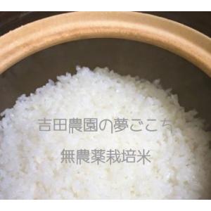 吉田農園　近江米　夢ごこち(無農薬栽培米)EM農法　5kg×１　[選べる精米方法]　令和7年産