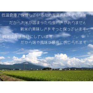 吉田農園 ひとつぼし中米(無農薬栽培米)EM農...の詳細画像1