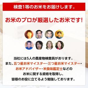 【送料無料】令和7年産 山形県産 ひとめぼれ ...の詳細画像3