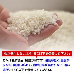 【送料無料】令和7年産 山形県産 ひとめぼれ ...の詳細画像5