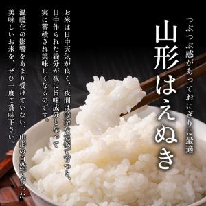 【送料無料】令和7年産 山形県産 はえぬき 白...の詳細画像1