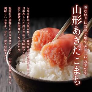 【送料無料】令和7年産 山形県産 あきたこまち...の詳細画像1