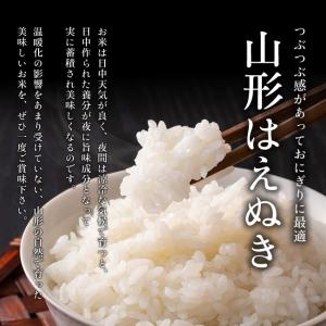 【送料無料】令和7年産 山形県産 はえぬき 玄...の詳細画像1
