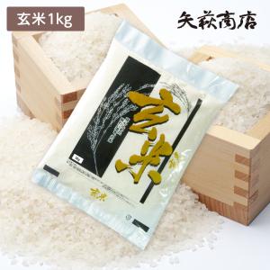 元気つくし [ 玄米 ] [ 950g ] 令和7年産 福岡県産 ポイント消化 農家