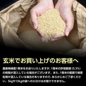 【送料無料】令和7年産 山形県産 ひとめぼれ ...の詳細画像5