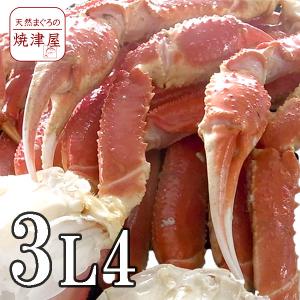 極上ボイルズワイガニ（ずわいがに足）3L4肩 送料無料 北海道、沖縄へは700円加算 父の日 ギフト プレゼント おつまみ 海鮮 グルメ｜yaizu