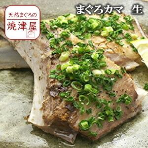 まぐろ カマ 2本 大型生 冷凍 加熱 用　塩焼き 煮付け 照り焼き 父の日 ギフト プレゼント おつまみ 海鮮 グルメ