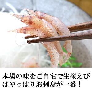 生しらす100g&生桜えび70g 食べ比べセッ...の詳細画像1
