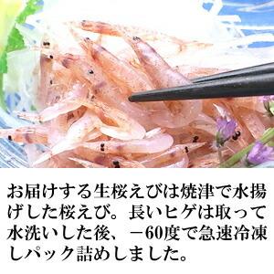 生しらす100g&生桜えび70g 食べ比べセッ...の詳細画像2