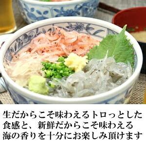 生しらす100g&生桜えび70g 食べ比べセッ...の詳細画像3
