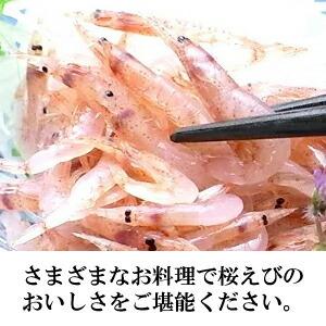 生しらす100g&生桜えび70g 食べ比べセッ...の詳細画像4