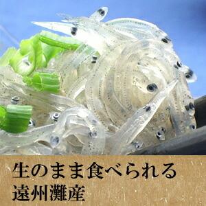 生しらす100g&生桜えび70g 食べ比べセッ...の詳細画像5