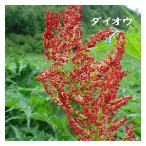 赤玉小粒はら薬 30丸×6包 3個セット定価3...の詳細画像3