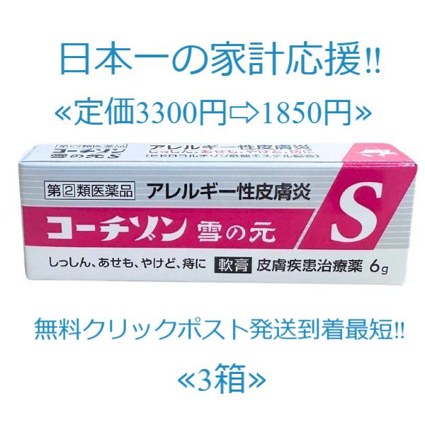 コーチゾン雪の元S 6g x 3個セット定価3300円 【送料無料】指定第2類医薬品 （新しい 新パ...