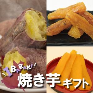 お中元 夏ギフト スイーツ 焼き芋 やきいも 干し芋 焼き干し芋 さつまいも ギフト 紅はるか 茨城県産 熟成芋 茨城焼き芋ギフト