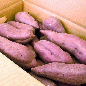 さつまいも 5kg サイズ混合 紅あずま 茨城...の詳細画像1