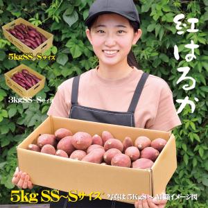 サツマイモ 生芋 熟成 紅はるか 送料無料 混載SS~Ｓサイズ 5Kg 吉四六