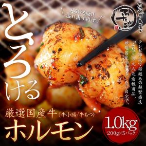 厳選牛とろける「ホルモン」 メガ盛りセット（1.0kg）｜yakiniku-futago