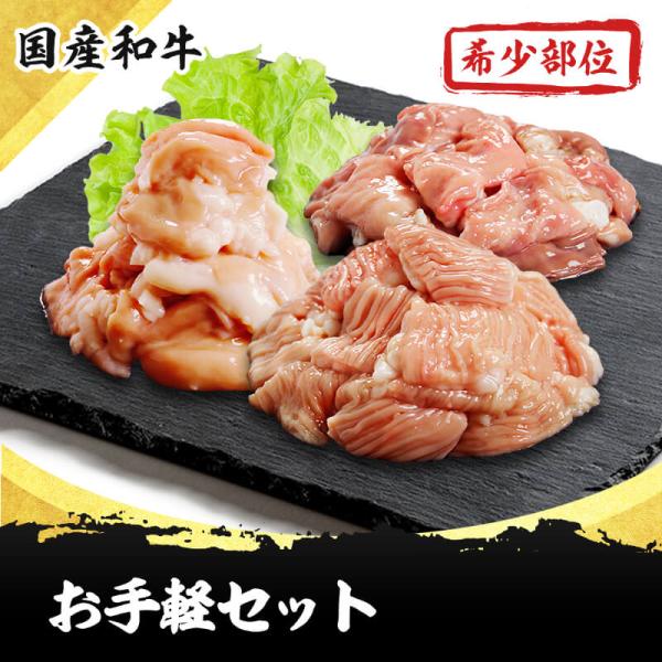 送料無料 ホルモンお手軽3点セット(トロテッチャン テッチャン ギアラ)と特製ミソダレ付